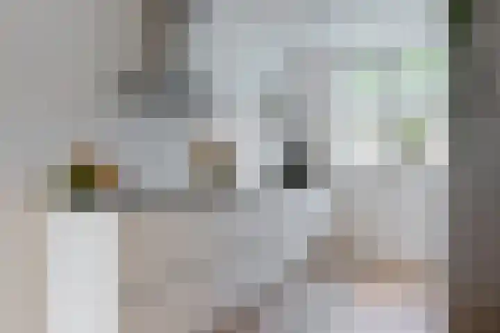 Rolwolk 11 De Meern thumbnail 8