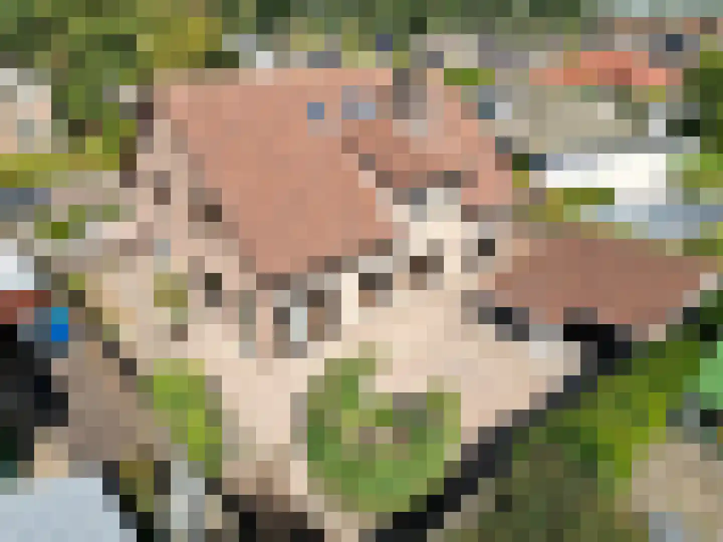 Romanlaan 18 Aardenburg foto 2