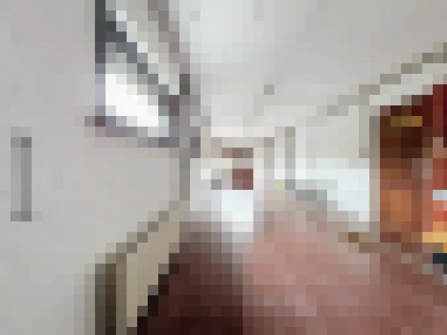 Romanlaan 18 Aardenburg thumbnail 29