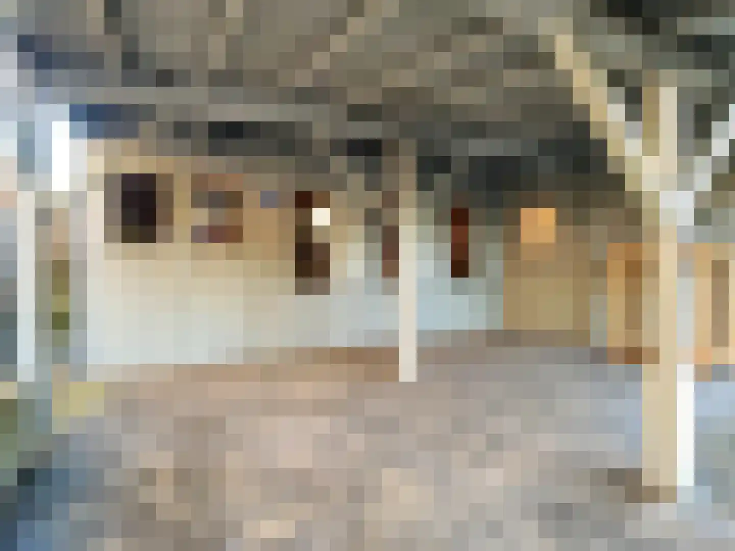Romanlaan 18 Aardenburg thumbnail 32