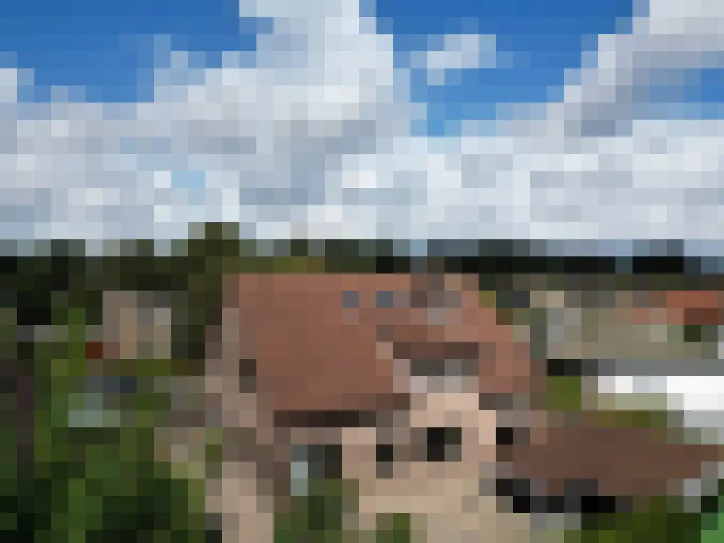 Romanlaan 18 Aardenburg thumbnail 4