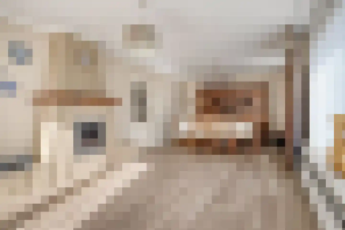 Romanlaan 2 Aardenburg thumbnail 9