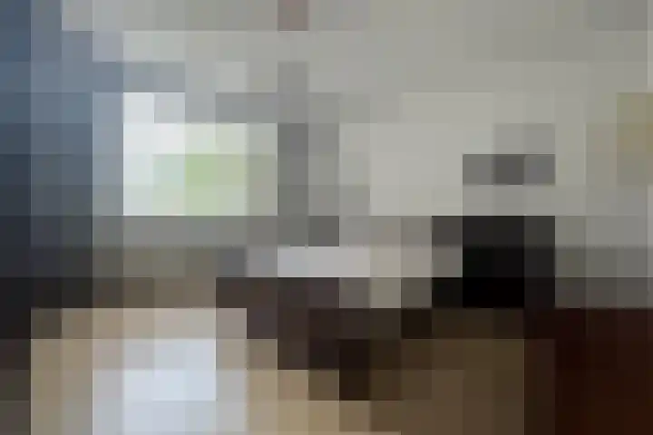 Romanlaan 8 Aardenburg thumbnail 16
