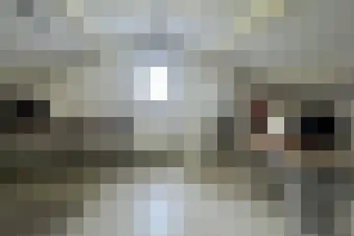 Romanlaan 8 Aardenburg thumbnail 20