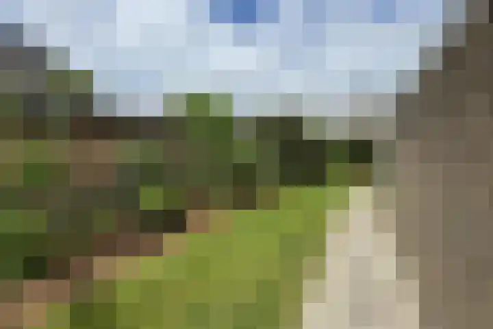 Romanlaan 8 Aardenburg thumbnail 24