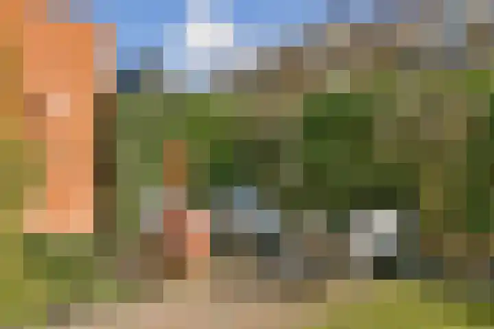 Romanovhof 33 Dordrecht thumbnail 33