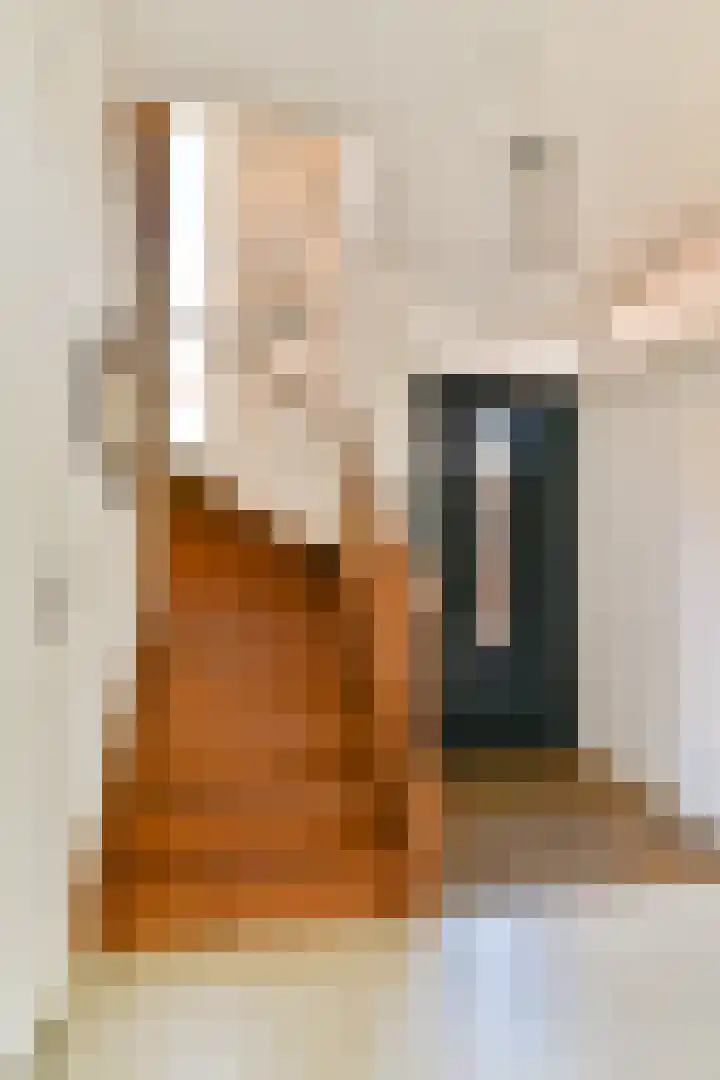 Romanovhof 33 Dordrecht thumbnail 5