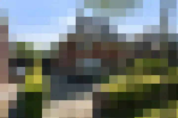 Romanovhof 41 in Dordrecht