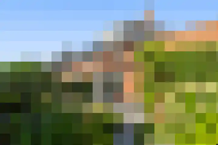 Romanovhof 41 Dordrecht thumbnail 4