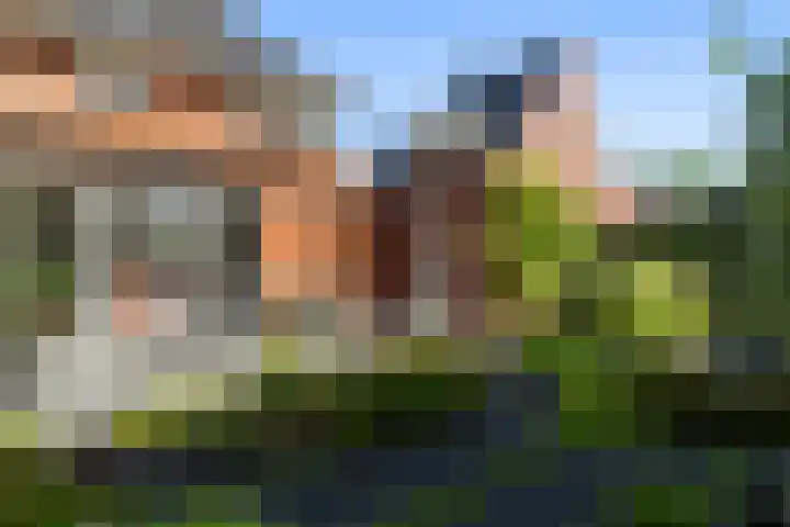 Romanovhof 41 Dordrecht thumbnail 40