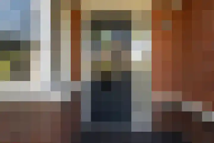 Romanovhof 41 Dordrecht thumbnail 46