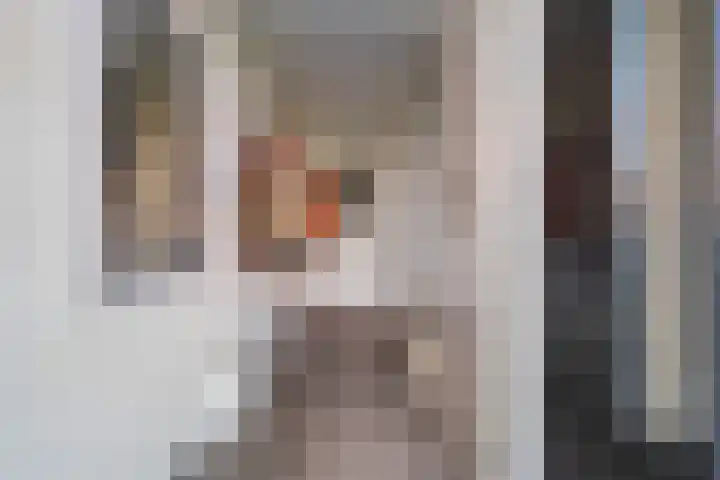 Romanovhof 41 Dordrecht thumbnail 5