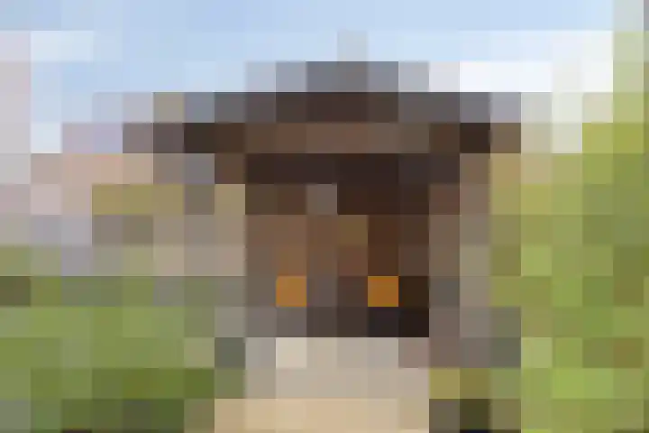 Romanusweg 14 De Meern thumbnail 21