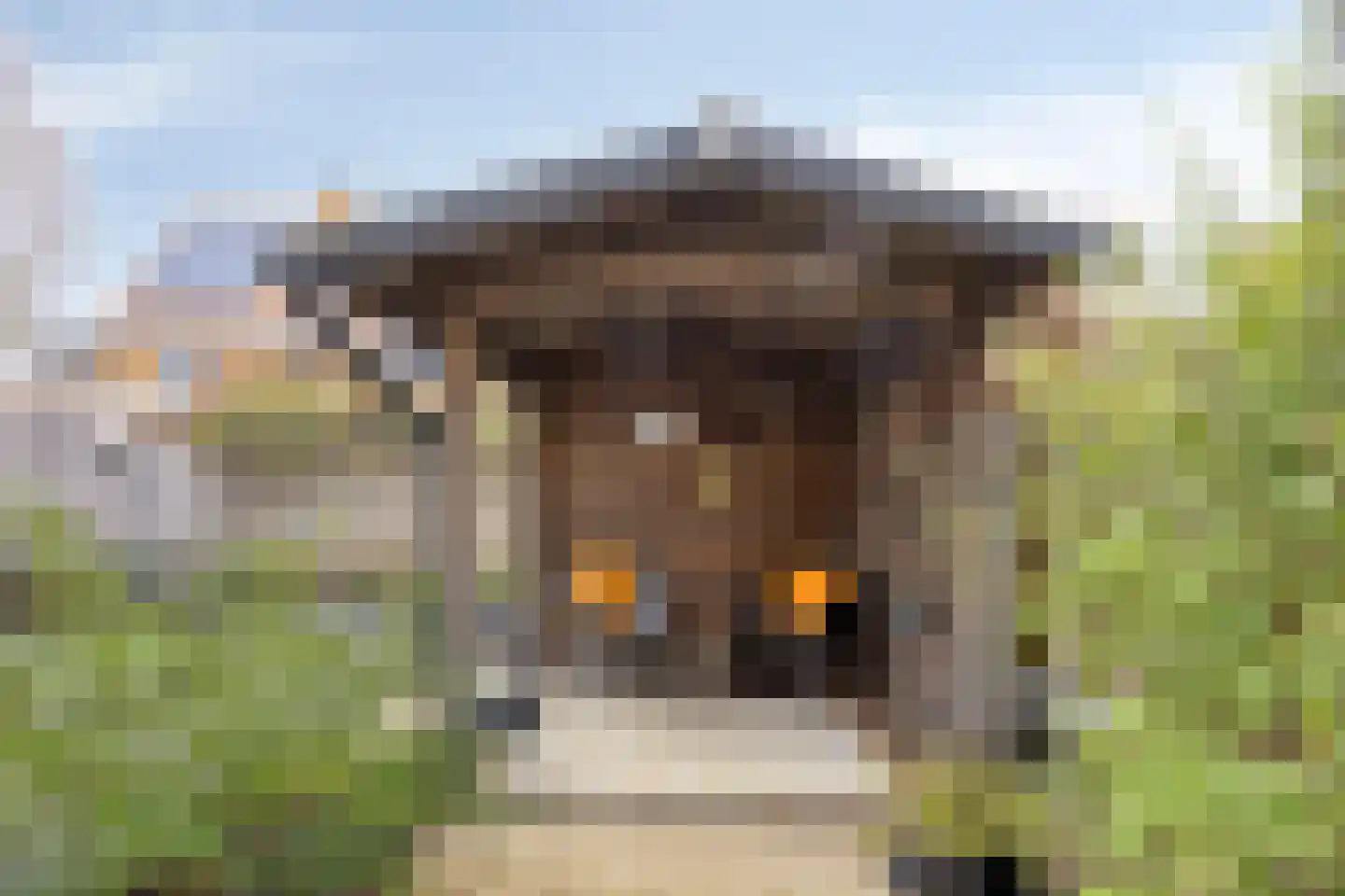 Romanusweg 14 De Meern thumbnail 21