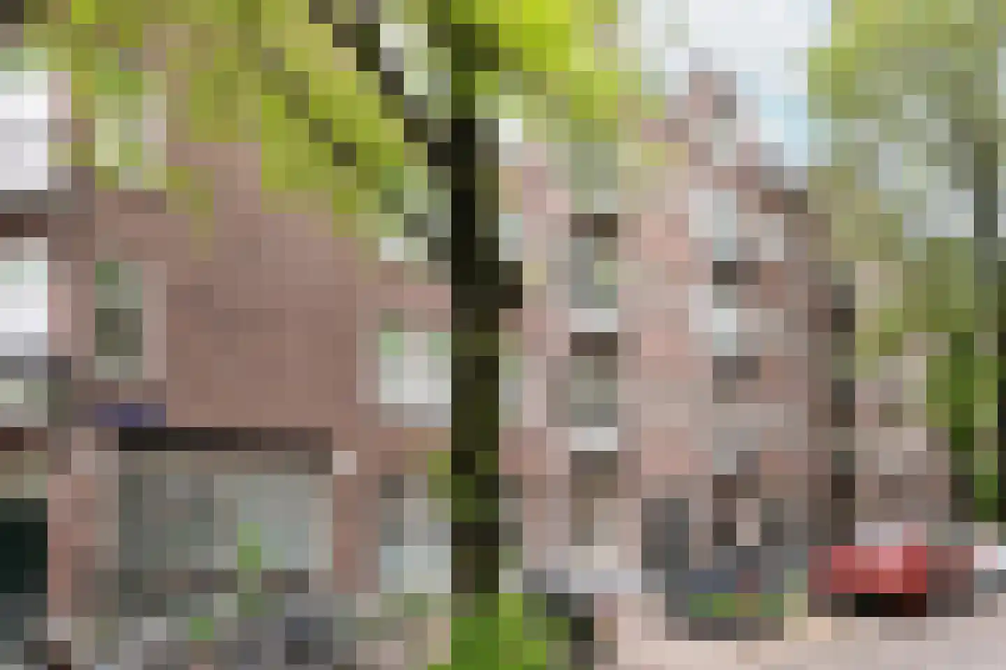 Rombout Hogerbeetsstraat 16 1 Amsterdam thumbnail 22