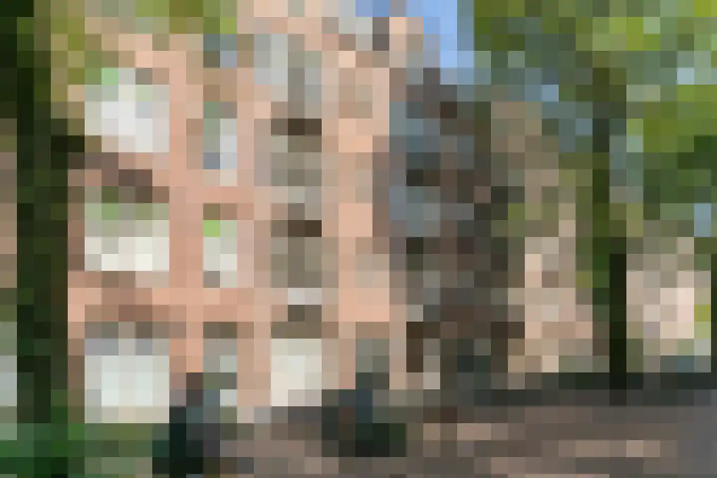 Rombout Hogerbeetsstraat 16 2 Amsterdam thumbnail 20