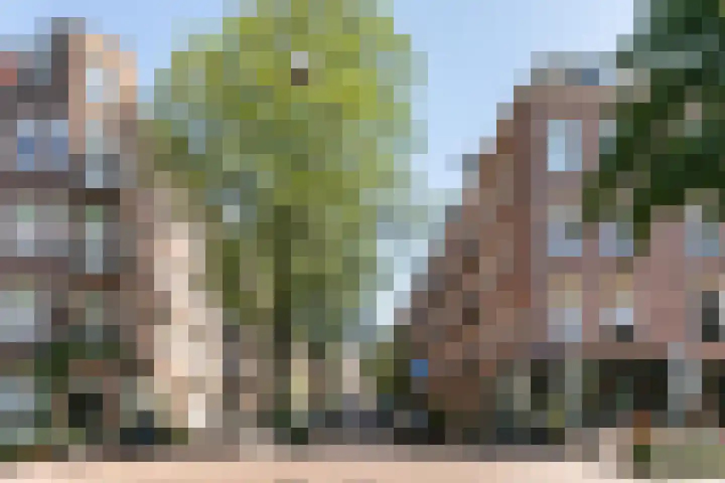 Rombout Hogerbeetsstraat 16 2 Amsterdam thumbnail 21