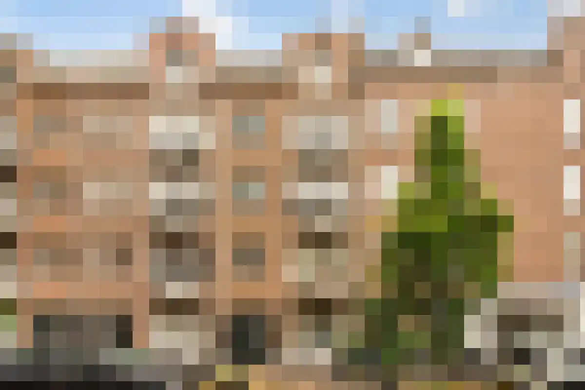 Rombout Hogerbeetsstraat 2 1 in Amsterdam
