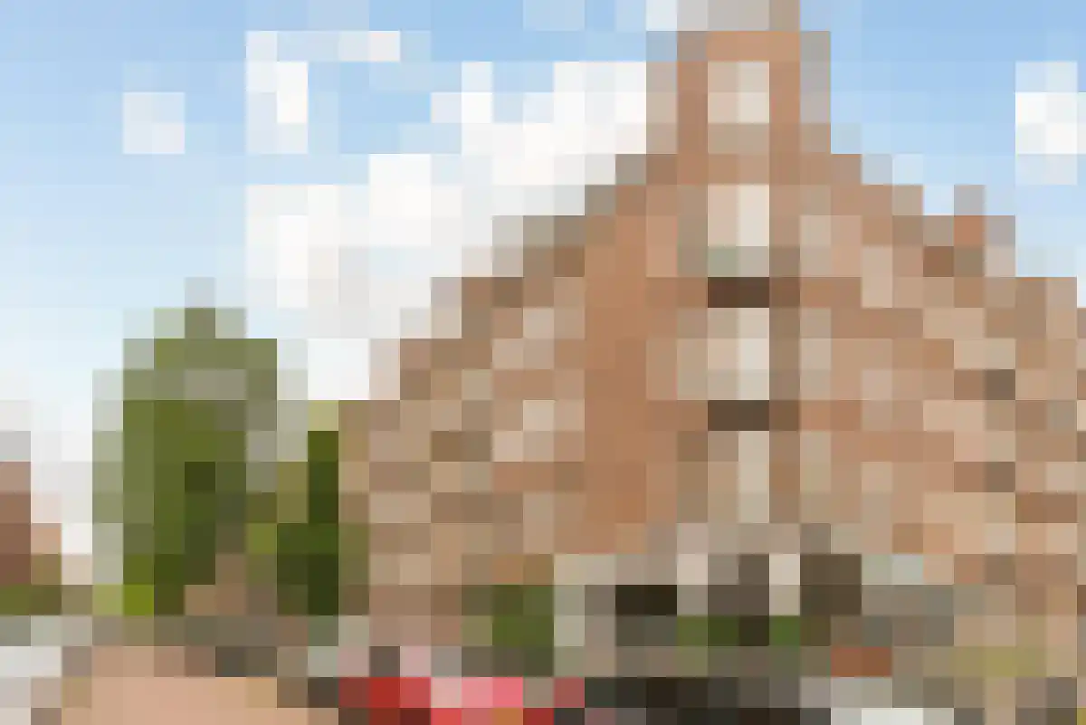 Rombout Hogerbeetsstraat 2 1 Amsterdam foto 2