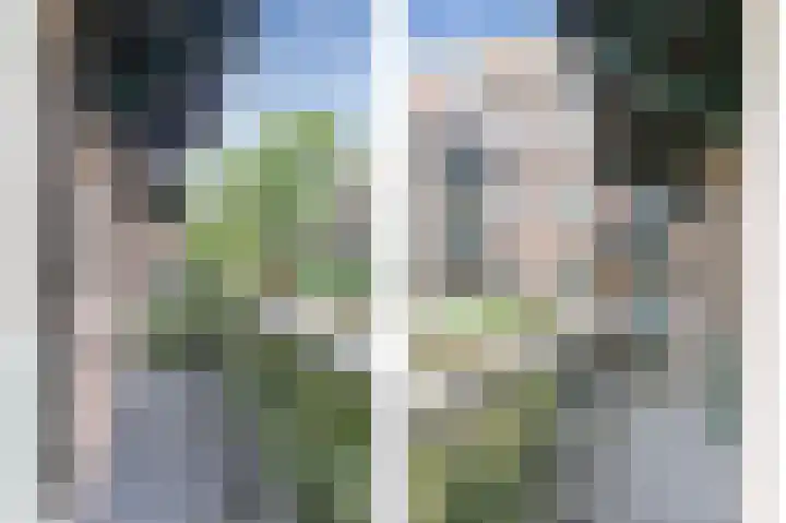 Rombout Hogerbeetsstraat 20 1 Amsterdam thumbnail 18