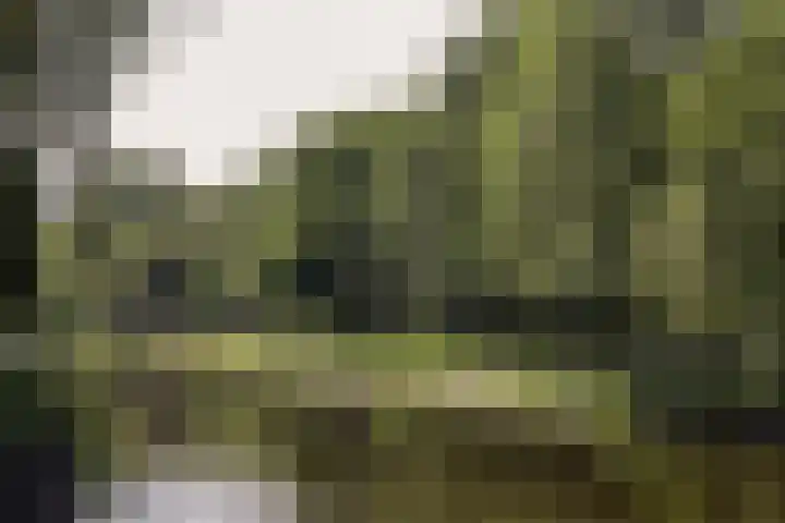 Rombout Hogerbeetsstraat 4 1 Amsterdam thumbnail 20