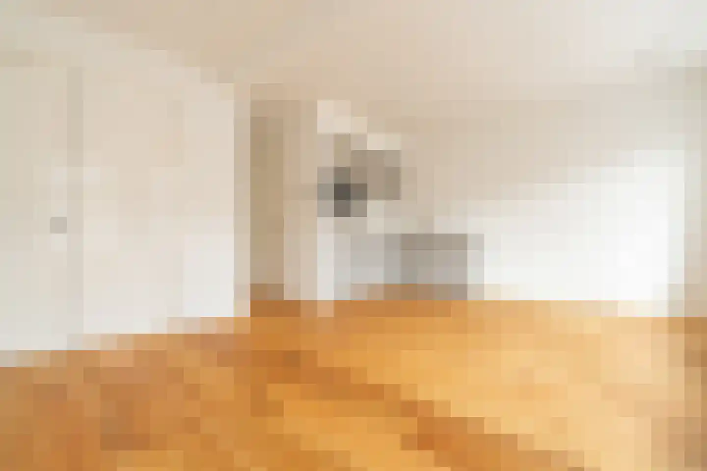 Rombout Hogerbeetsstraat 46 2 Amsterdam thumbnail 12