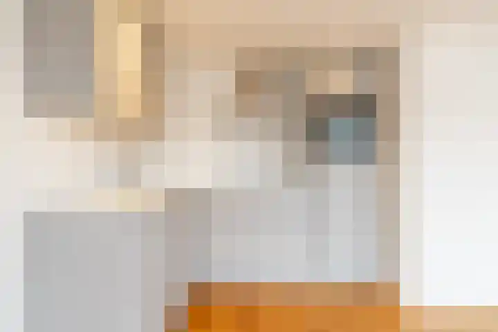 Rombout Hogerbeetsstraat 46 4 Amsterdam thumbnail 8