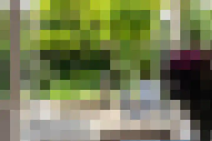 Rombout Hogerbeetsstraat 5 Middenbeemster thumbnail 12