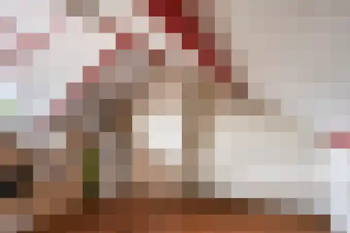 Rombout Hogerbeetsstraat 5 Middenbeemster thumbnail 36