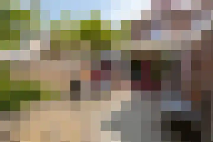Rombout Hogerbeetsstraat 5 Middenbeemster thumbnail 39