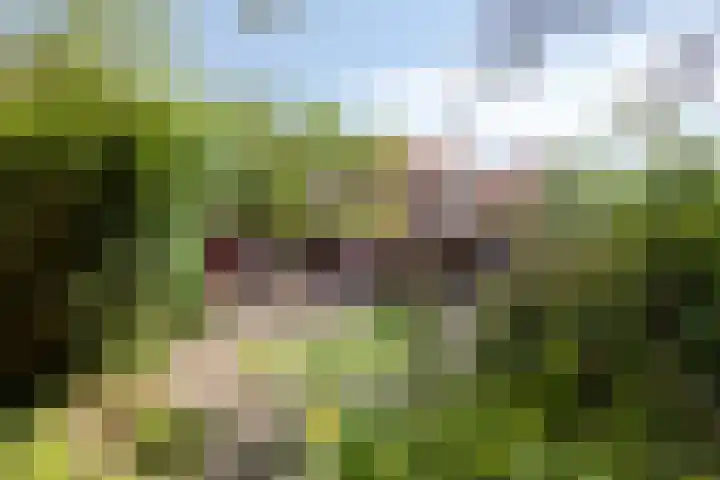 Rombout Hogerbeetsstraat 5 Middenbeemster thumbnail 42