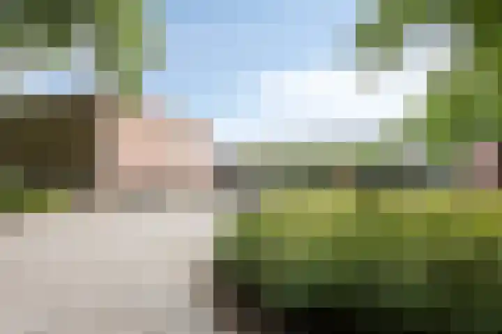 Rombout Hogerbeetsstraat 5 Middenbeemster thumbnail 48
