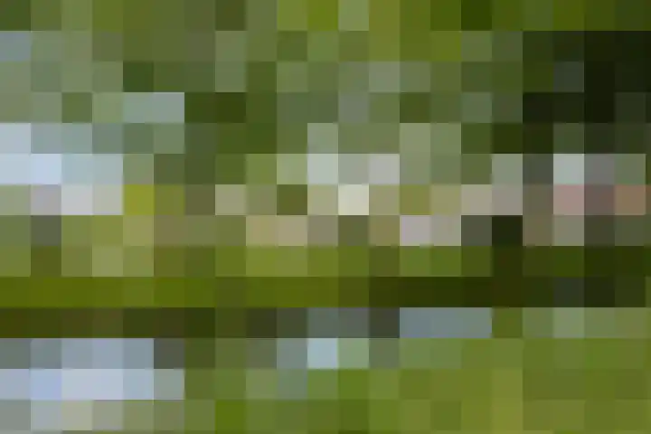 Rombout Hogerbeetsstraat 5 Middenbeemster thumbnail 49