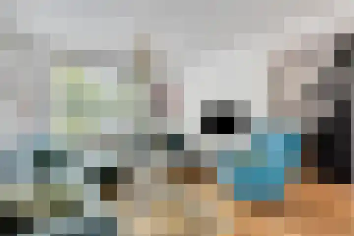 Rombout Hogerbeetsstraat 5 Middenbeemster thumbnail 6