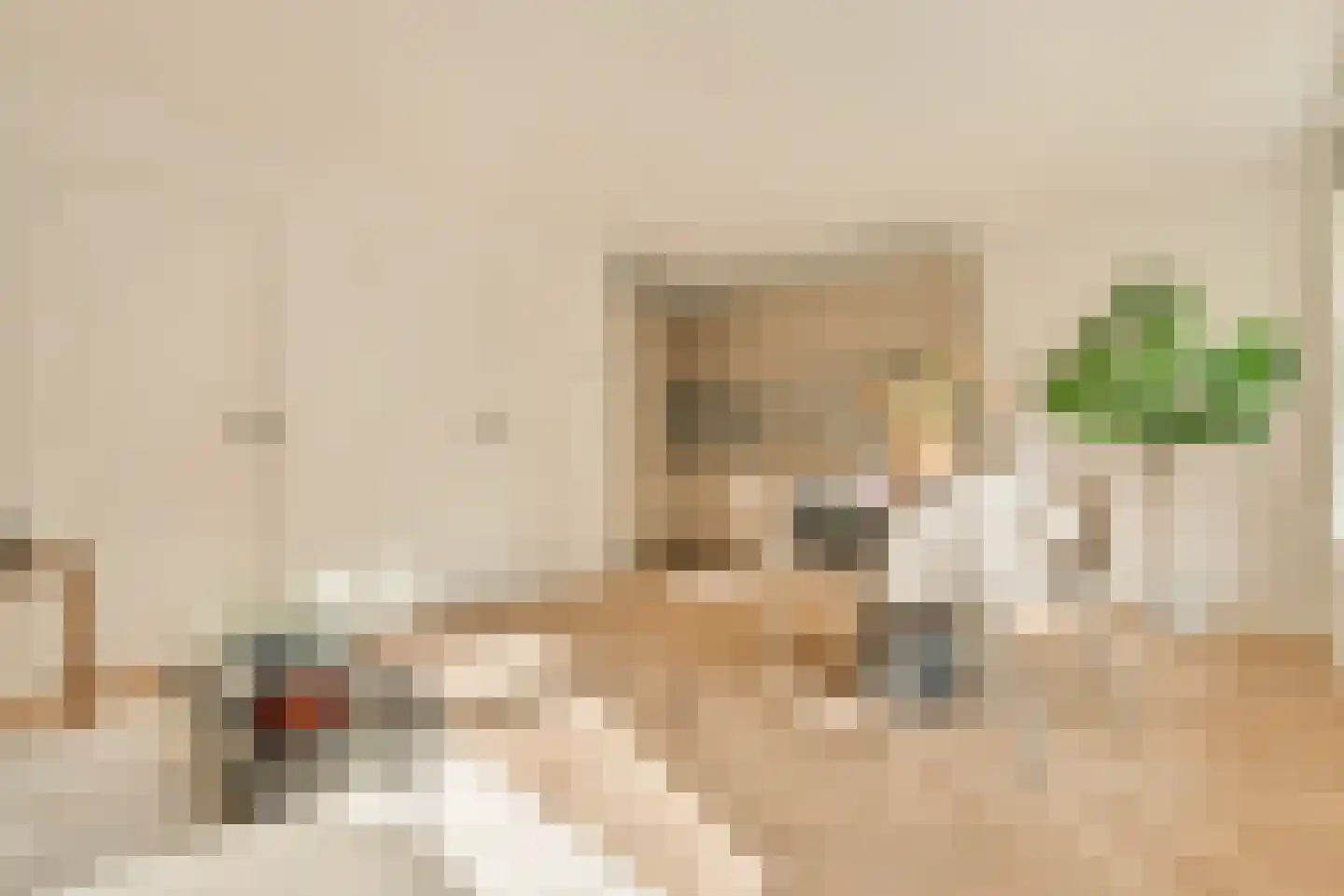 Rombout Hogerbeetsstraat 50 1 Amsterdam thumbnail 5