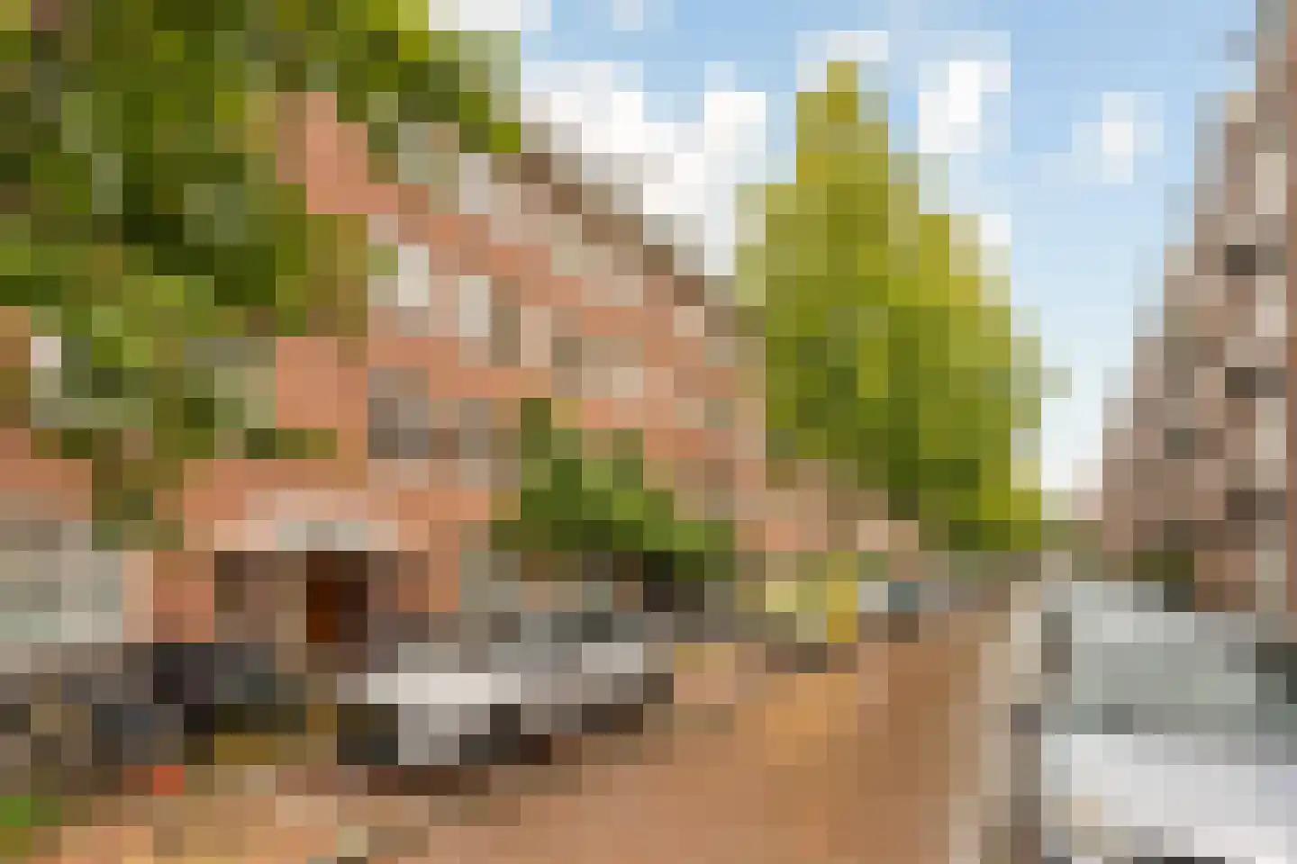 Rombout Hogerbeetsstraat 50 1 Amsterdam thumbnail 7