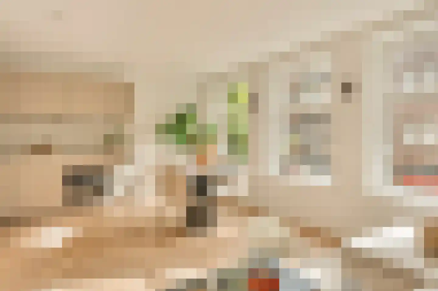 Rombout Hogerbeetsstraat 50 1 Amsterdam thumbnail 9