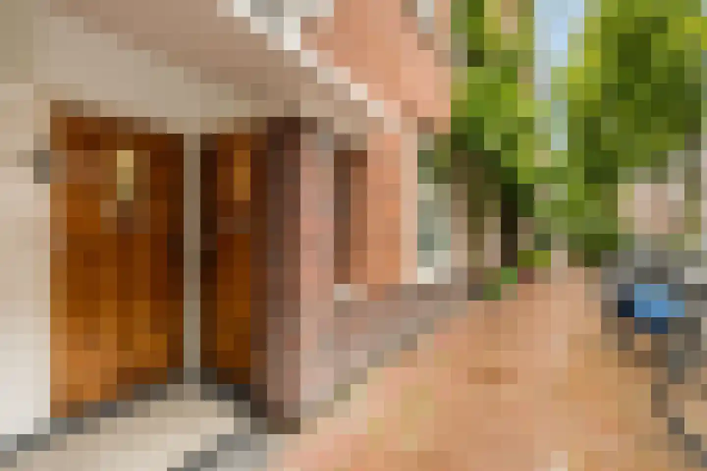 Rombout Hogerbeetsstraat 50 4 Amsterdam thumbnail 5
