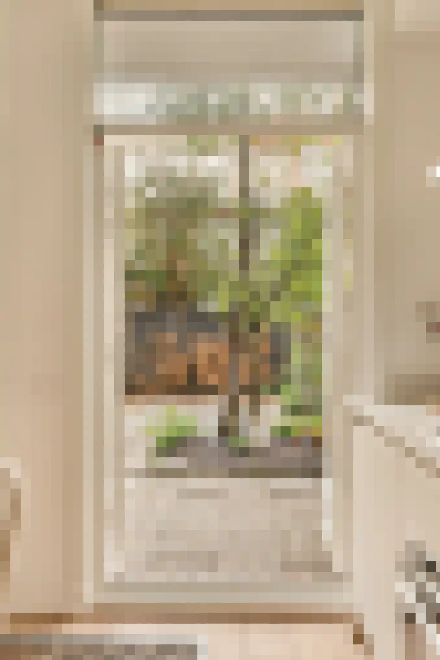 Rombout Hogerbeetsstraat 50 H Amsterdam thumbnail 20