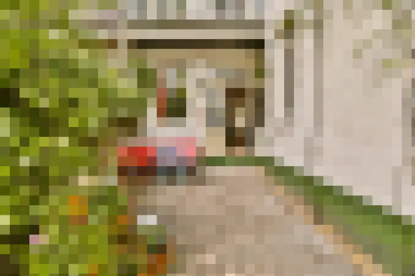 Rombout Hogerbeetsstraat 6 1 Amsterdam thumbnail 16
