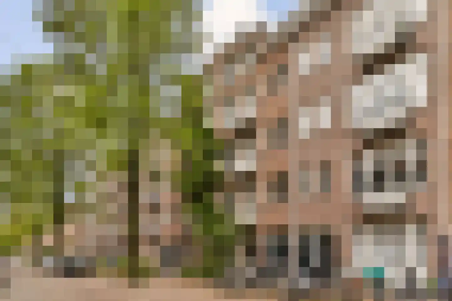 Rombout Hogerbeetsstraat 6 1 Amsterdam thumbnail 4