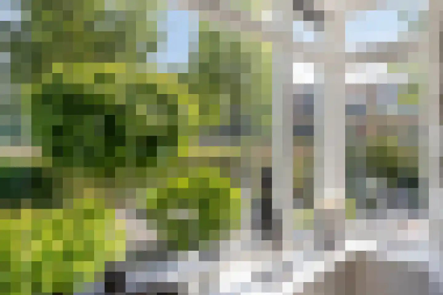 Rombout Verhulstlaan 1 Deventer thumbnail 7