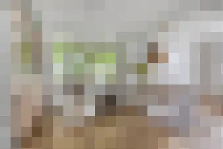 Romboutstraat 7 Andel thumbnail 10