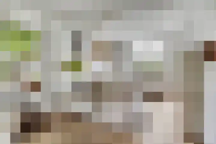 Romboutstraat 7 Andel thumbnail 11