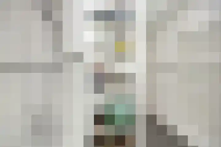 Romboutstraat 7 Andel thumbnail 15