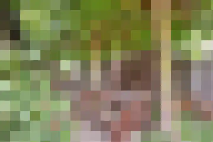 Romboutstraat 7 Andel thumbnail 21