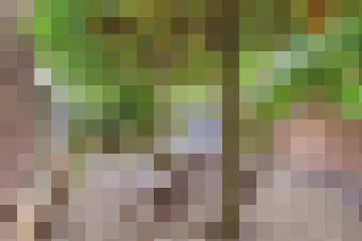 Romboutstraat 7 Andel thumbnail 22