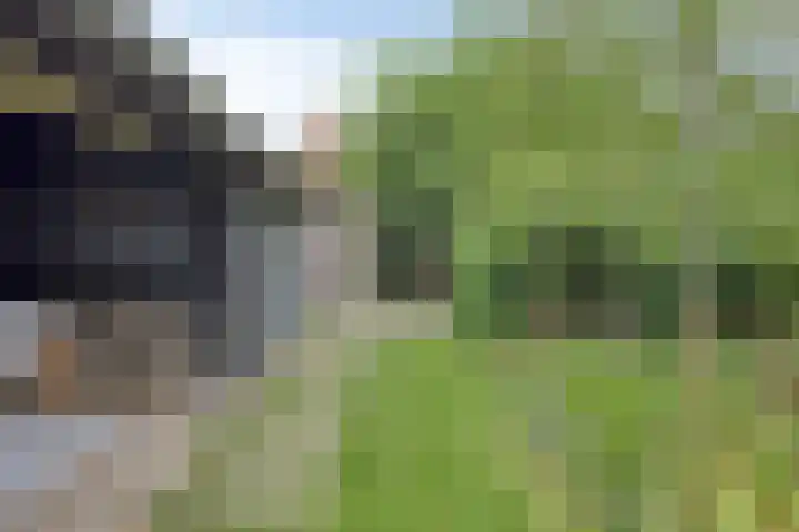 Romboutstraat 7 Andel thumbnail 24
