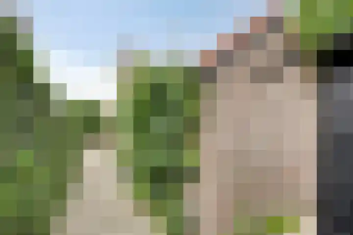 Romboutstraat 7 Andel thumbnail 27