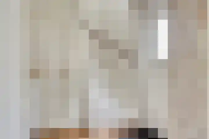 Romboutstraat 7 Andel thumbnail 4